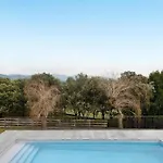 Casanova De Noet * Aviá